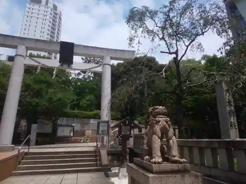 乃木神社の鳥居