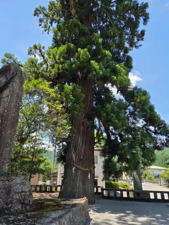 飛驒一宮水無神社(岐阜県)