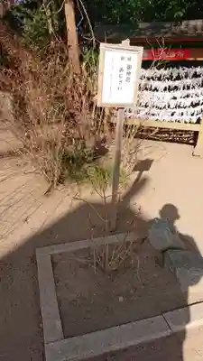 水戸八幡宮のその他建物