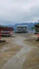 厳島神社の鳥居