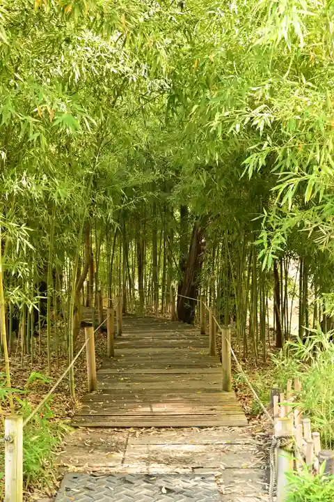 武蔵一宮氷川神社(埼玉県)