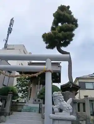 千度小路龍宮神社の{uncategorized: "未分類", other: "その他", undefined: "問題あり", building: "その他建物", grave: "お墓", sacred_gate: "鳥居", guardian: "狛犬", statue: "像", buddha: "仏像", history: "歴史", nature: "自然", garden: "庭園", animal: "動物", pagoda: "塔", temizu: "手水舎", mountain_gate: "山門・神門", sanctuary: "本殿・本堂", subordinate: "末社・摂社", art: "芸術", scenery: "景色", jizo: "地蔵", ema: "絵馬", goshuin: "御朱印", omikuji: "おみくじ", items: "授与品その他", amulet: "お守り", goshuincho: "御朱印帳", eats: "食事", festival: "お祭り", votive_dance: "神楽", shichigosan: "七五三参", wedding: "結婚式", experience: "体験その他", initially: "初詣", around: "周辺", anti_infection: "感染症対策"}