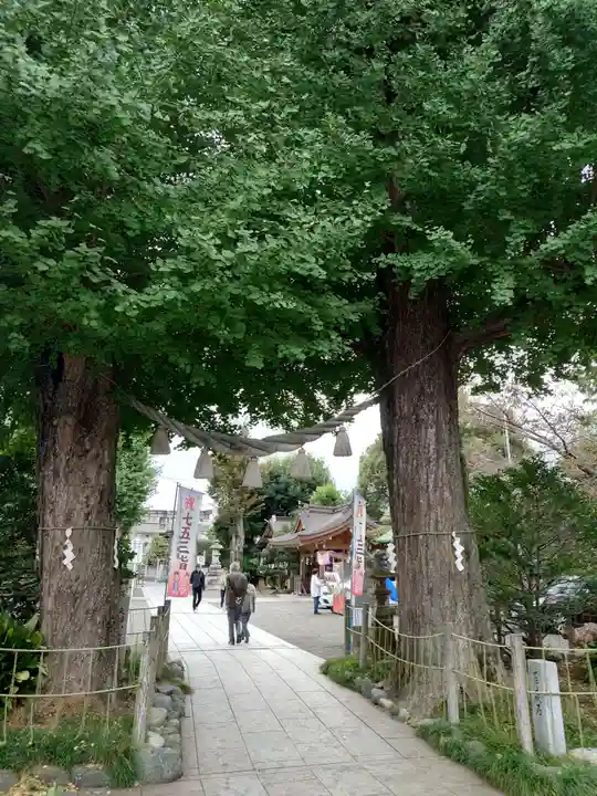 亀ケ池八幡宮(神奈川県)
