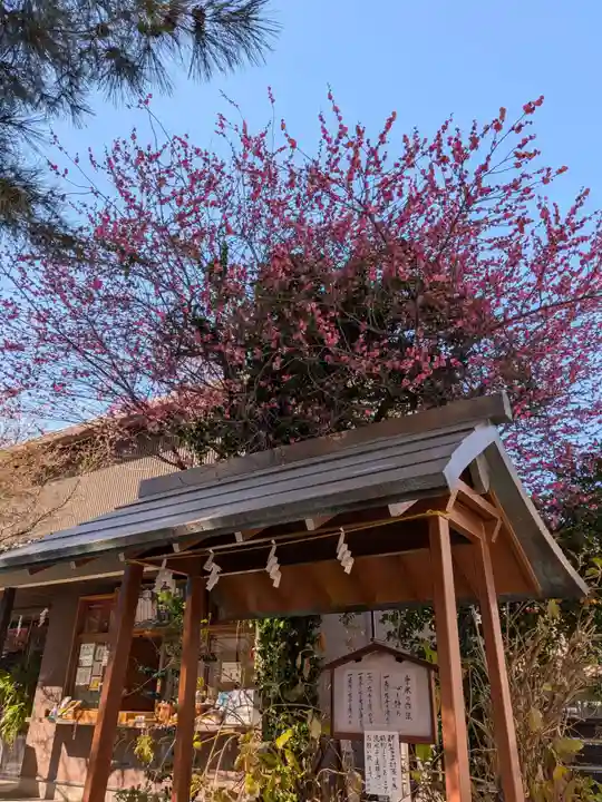 猿田彦神社(東京都)