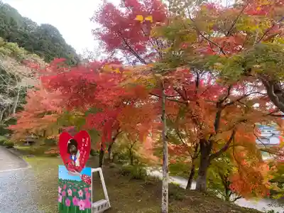 桂谷寺(兵庫県)