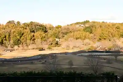 臼杵石仏(大分県)