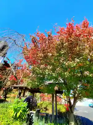 萬寿神社の自然