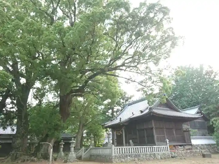 八幡社(赤坂町)の本殿・本堂