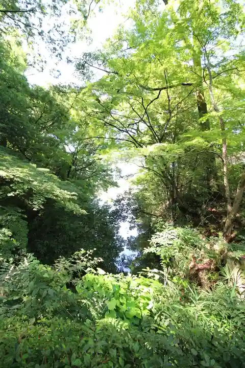 武田神社(山梨県)