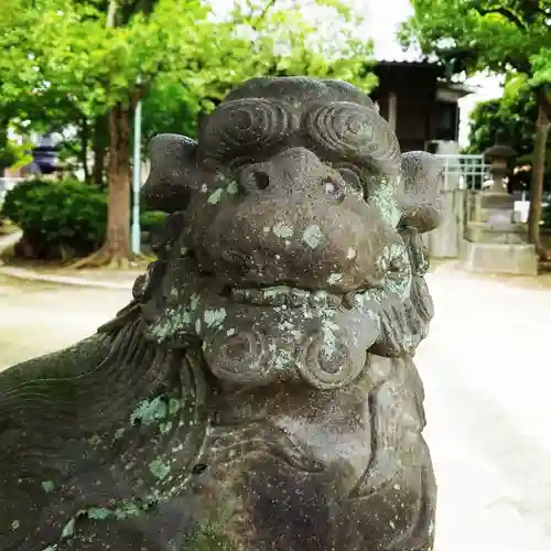 白髭神社の狛犬