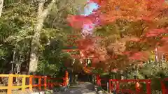 大田神社（賀茂別雷神社境外摂社）の自然