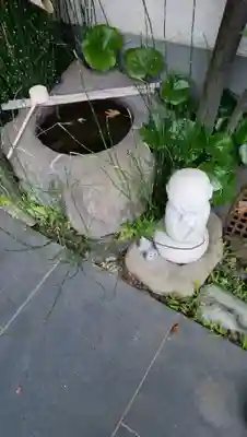 曹源寺の手水舎