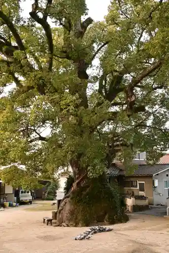 糸碕神社(広島県)