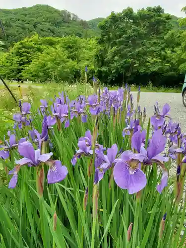 高司神社〜むすびの神の鎮まる社〜(福島県)