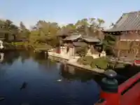神泉苑の庭園