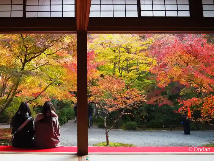 圓光寺(京都府)