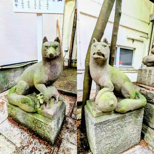 子安神社の狛犬