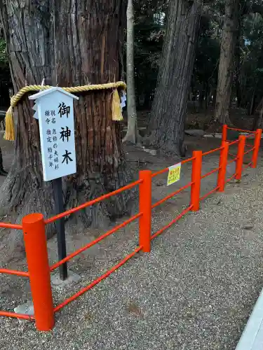 息栖神社の{uncategorized: "未分類", other: "その他", undefined: "問題あり", building: "その他建物", grave: "お墓", sacred_gate: "鳥居", guardian: "狛犬", statue: "像", buddha: "仏像", history: "歴史", nature: "自然", garden: "庭園", animal: "動物", pagoda: "塔", temizu: "手水舎", mountain_gate: "山門・神門", sanctuary: "本殿・本堂", subordinate: "末社・摂社", art: "芸術", scenery: "景色", jizo: "地蔵", ema: "絵馬", goshuin: "御朱印", omikuji: "おみくじ", items: "授与品その他", amulet: "お守り", goshuincho: "御朱印帳", eats: "食事", festival: "お祭り", votive_dance: "神楽", shichigosan: "七五三参", wedding: "結婚式", experience: "体験その他", initially: "初詣", around: "周辺", anti_infection: "感染症対策"}
