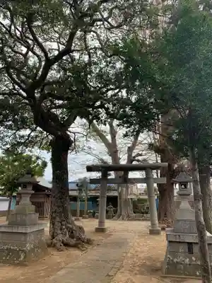 八坂神社(千葉県)
