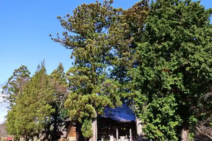 高司神社〜むすびの神の鎮まる社〜の景色