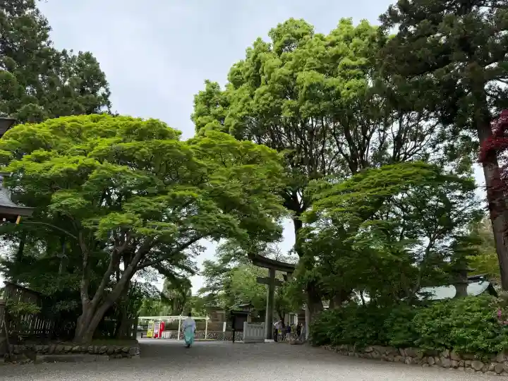 高麗神社の{uncategorized: "未分類", other: "その他", undefined: "問題あり", building: "その他建物", grave: "お墓", sacred_gate: "鳥居", guardian: "狛犬", statue: "像", buddha: "仏像", history: "歴史", nature: "自然", garden: "庭園", animal: "動物", pagoda: "塔", temizu: "手水舎", mountain_gate: "山門・神門", sanctuary: "本殿・本堂", subordinate: "末社・摂社", art: "芸術", scenery: "景色", jizo: "地蔵", ema: "絵馬", goshuin: "御朱印", omikuji: "おみくじ", items: "授与品その他", amulet: "お守り", goshuincho: "御朱印帳", eats: "食事", festival: "お祭り", votive_dance: "神楽", shichigosan: "七五三参", wedding: "結婚式", experience: "体験その他", initially: "初詣", around: "周辺", anti_infection: "感染症対策"}