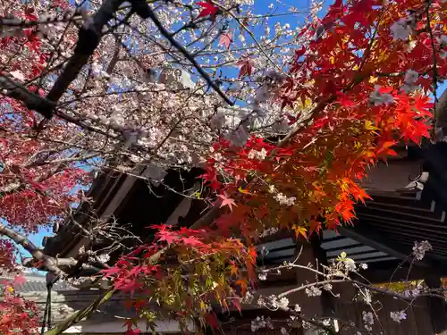 稱名院(東京都)