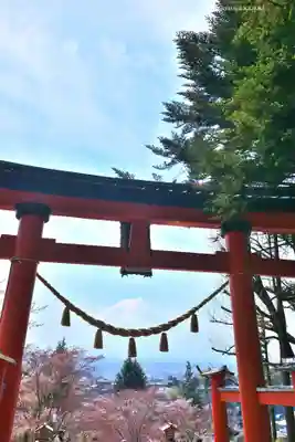 新倉富士浅間神社(山梨県)