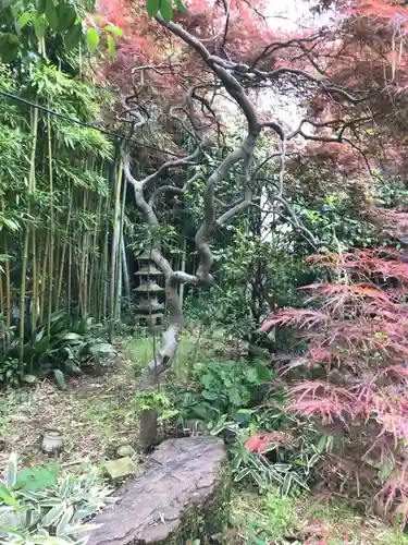 普賢寺の庭園