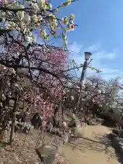 防府天満宮の自然