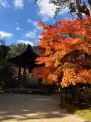 西明寺の建物その他