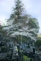 正安寺(神奈川県)