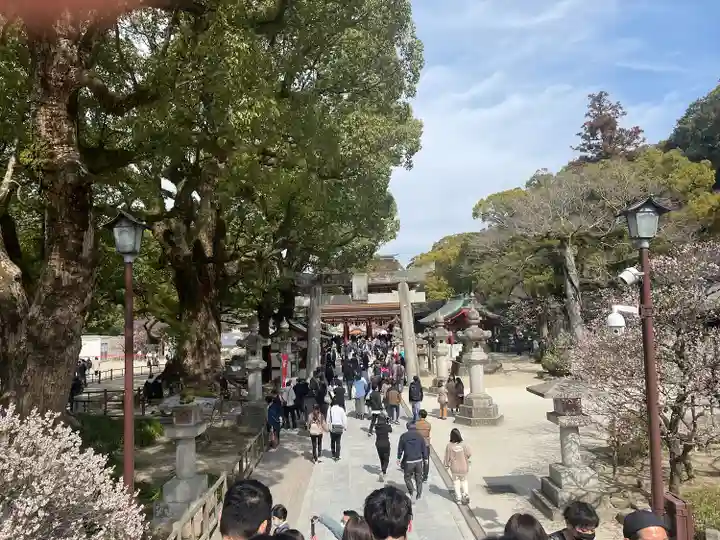 太宰府天満宮(福岡県)