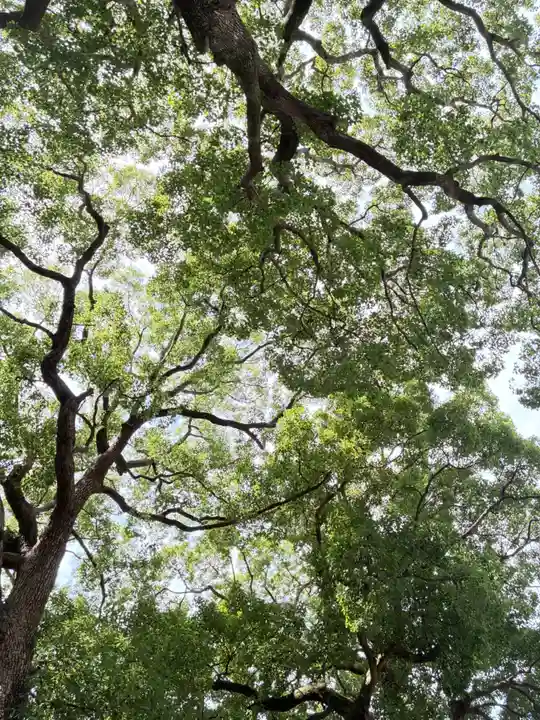 星川杉山神社(神奈川県)
