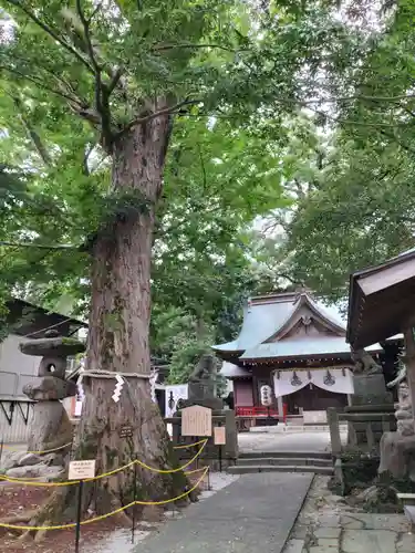 今宮神社(静岡県)