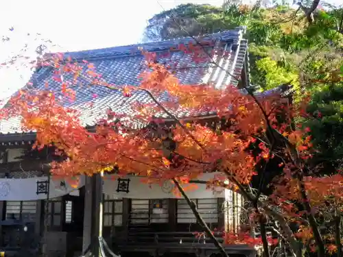 安國論寺（安国論寺）のその他建物