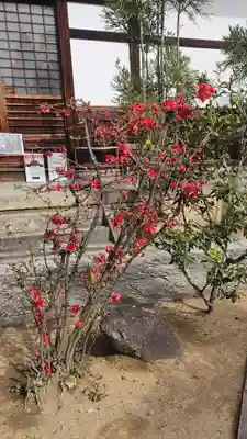 総見院(京都府)