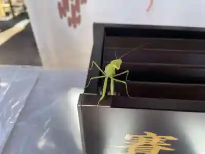 冠纓神社(香川県)