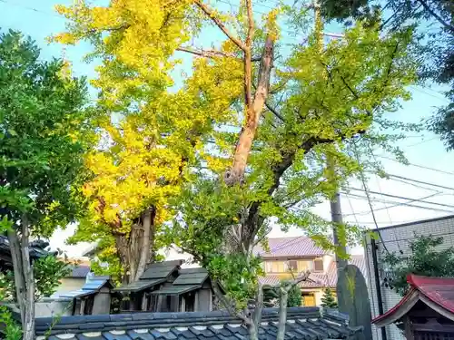 秋葉社（一番畑秋葉社）の建物その他