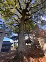 八幡神社(奈良県)
