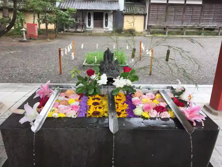 美濃國一宮 南宮大社の手水舎