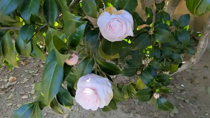 三津厳島神社(愛媛県)
