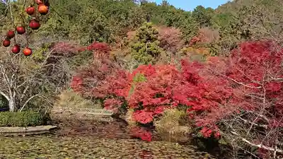 龍安寺(京都府)