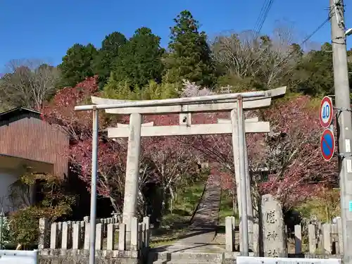 桑原感神社の鳥居