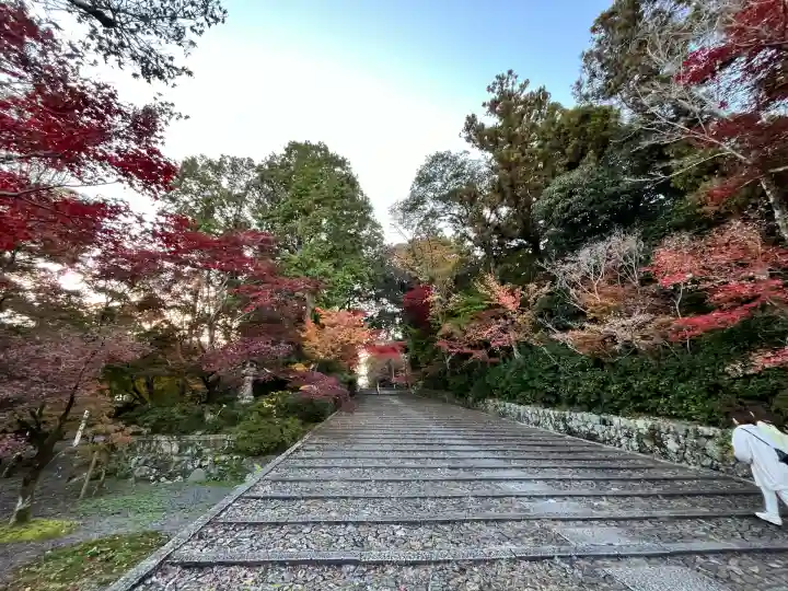 光明寺(粟生光明寺)(京都府)