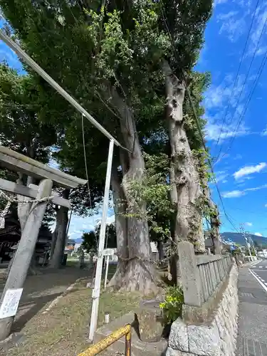 大門神社(長野県)