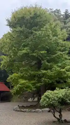 安房神社(千葉県)