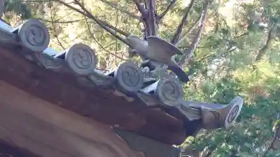 小竹八幡神社(和歌山県)