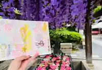 柳谷観音 楊谷寺(京都府)