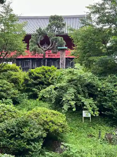 不忍池大黒天堂の庭園