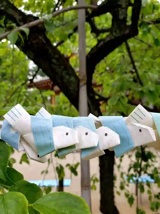 鳩森八幡神社のおみくじ